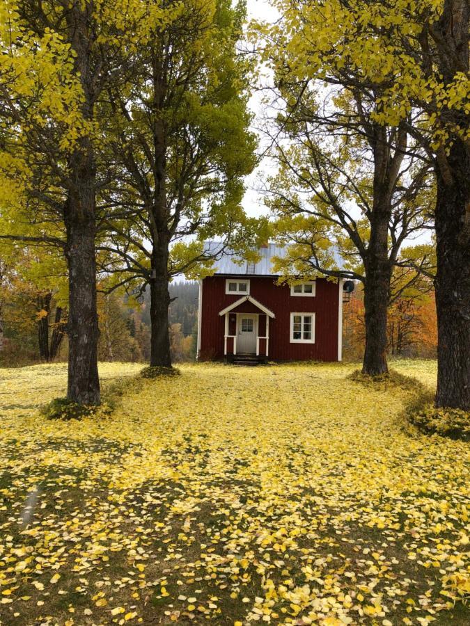 Valagardens Vaerdshus Och Camping Ab Valadalen Exterior photo